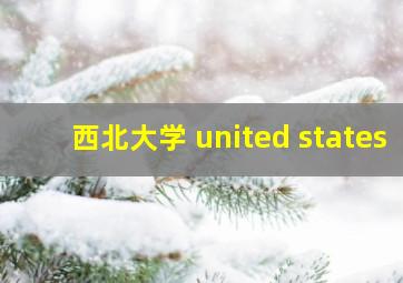 西北大学 united states